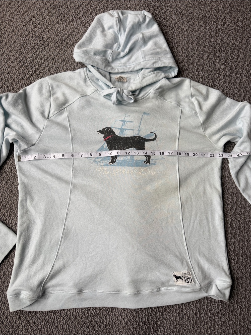 Black Dog Light Blue Hoodie, Generously sized and soft - Picture 7 of 10